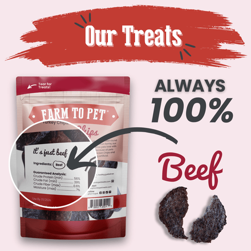 Beef Chips Dog Treats | Single-Ingredient Healthy Treats for Dogs