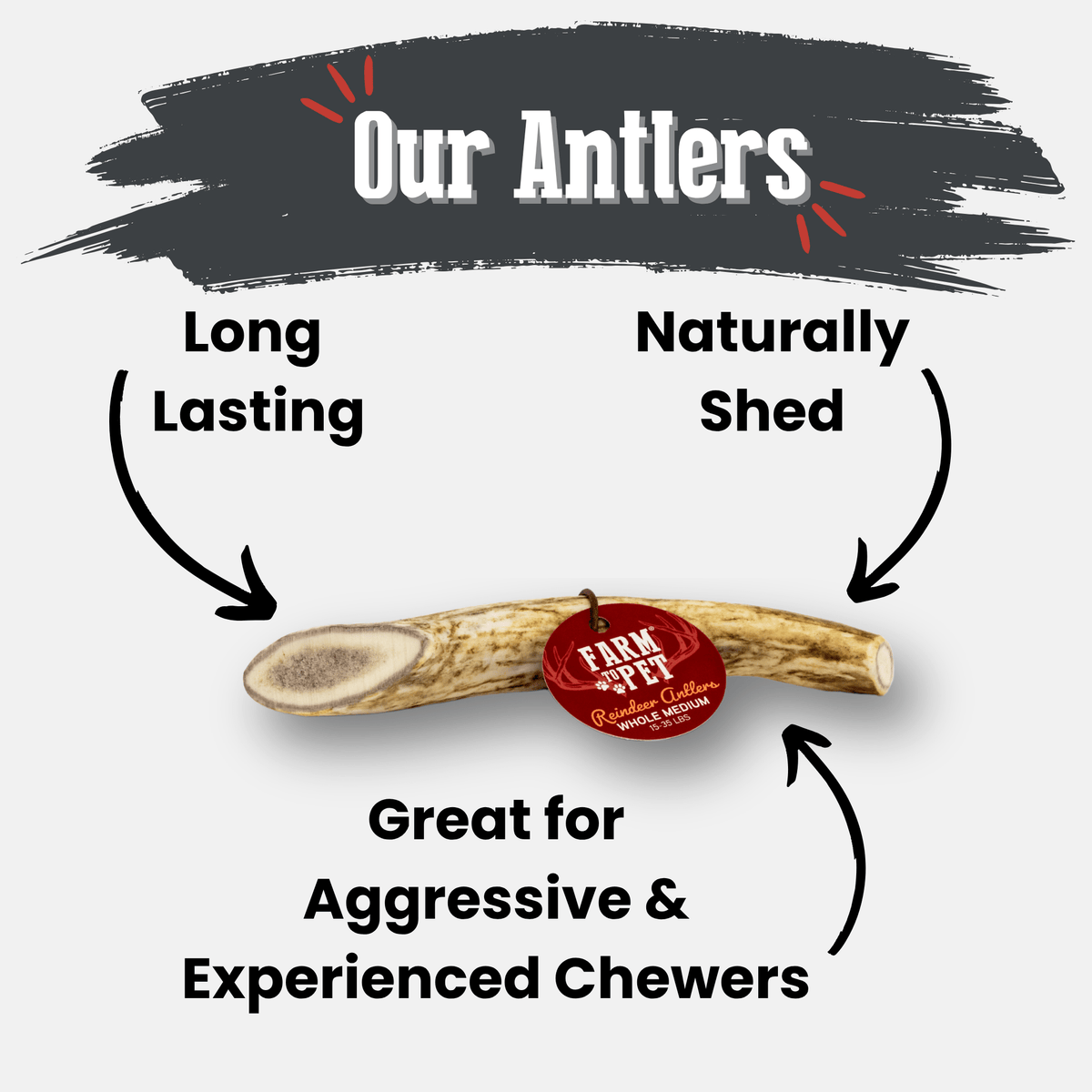 Reindeer Antler Dog Chews | Organic Chews for Dogs