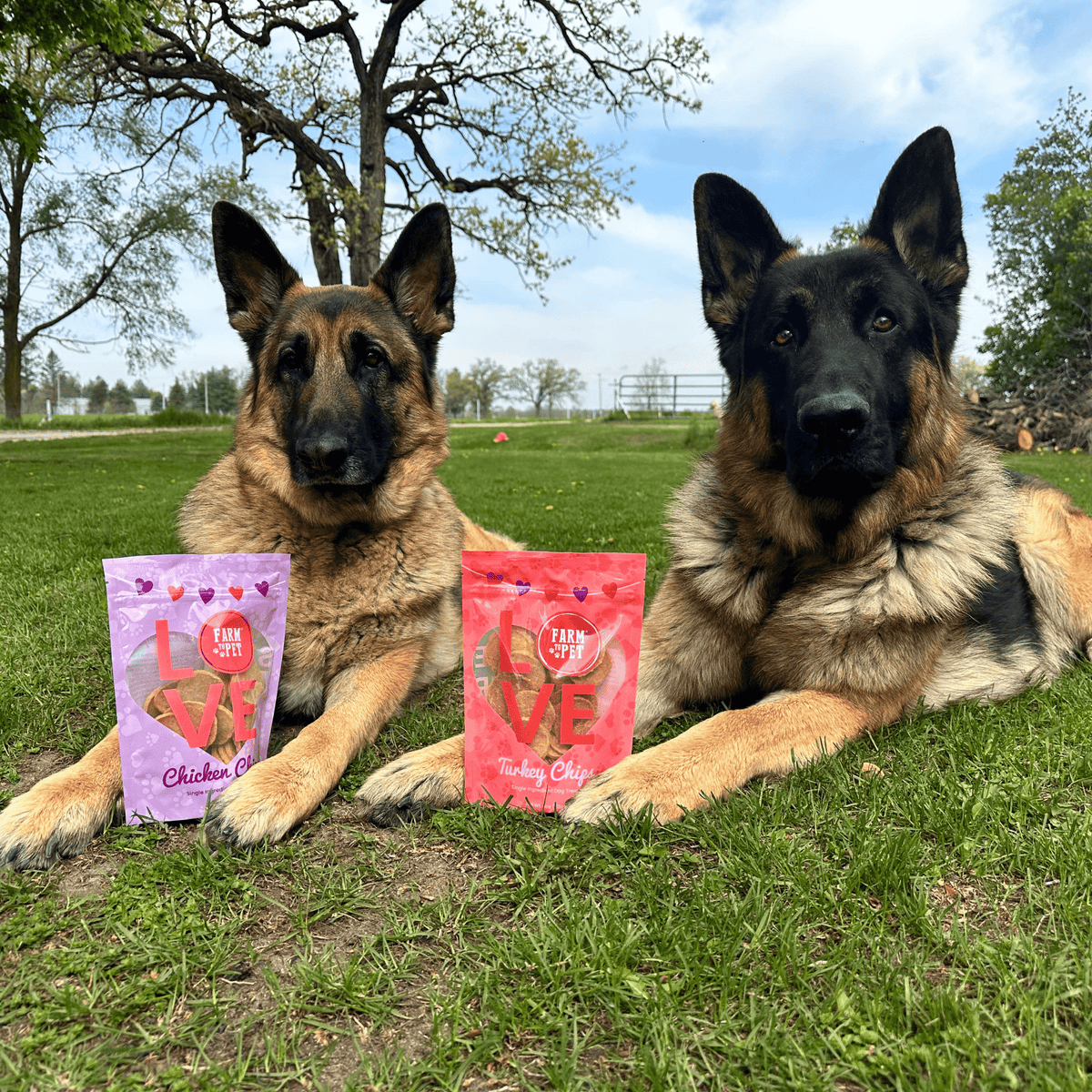 Puppy Love Dog Treat Duo | Poultry Chip Variety Pack